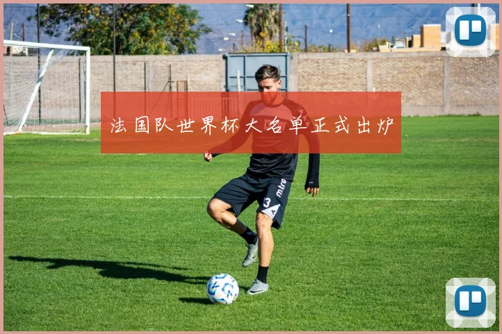 法国队世界杯大名单正式出炉