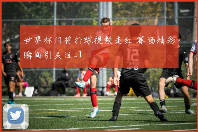 世界杯门将扑球视频走红 赛场精彩瞬间引关注_1