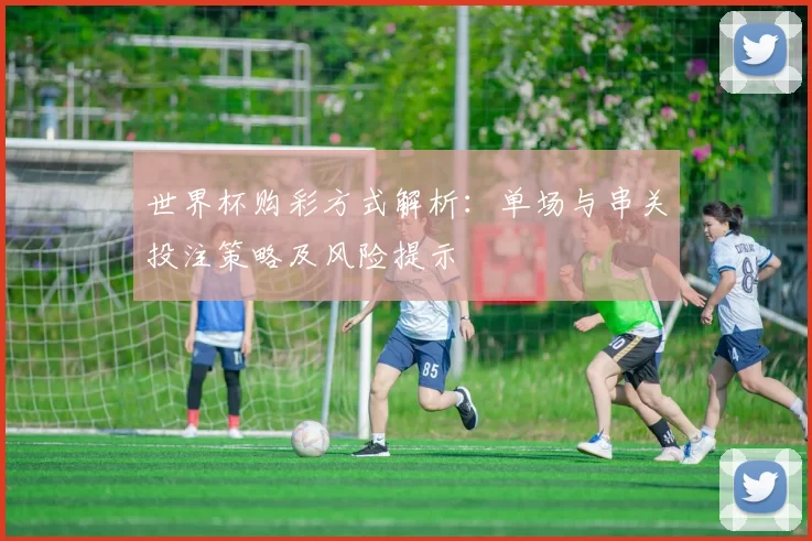 世界杯购彩方式解析：单场与串关投注策略及风险提示